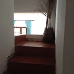With Garden And Pool *